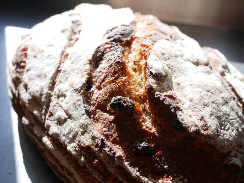 Raisin and Rosemary Sourdough - Large